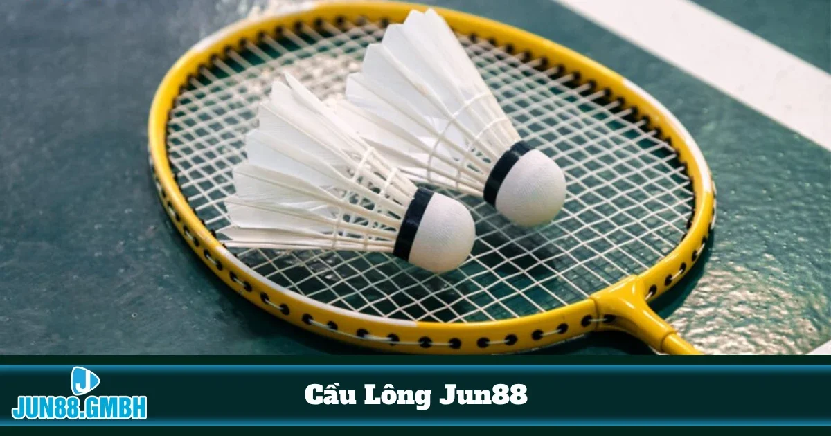 Cá Cược Cầu Lông Jun88 – Đọc Kèo & Đặt Cược Chính Xác 4 Phân tích quyết định cược trước khi tham gia